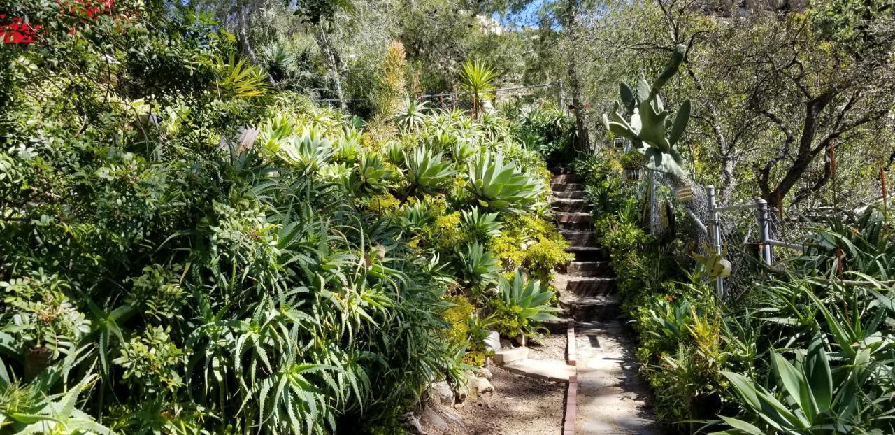 Rainbow Guest House Fallbrook Exterior photo